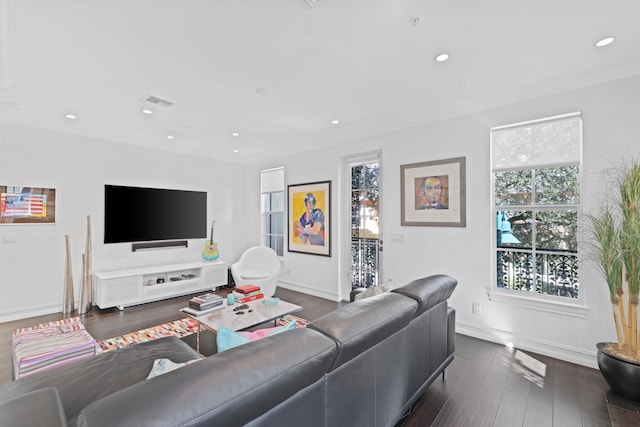 living room with dark hardwood / wood-style flooring