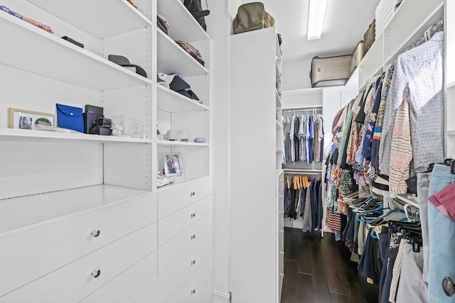 walk in closet with dark wood-type flooring