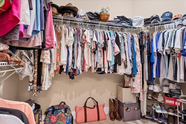 view of walk in closet