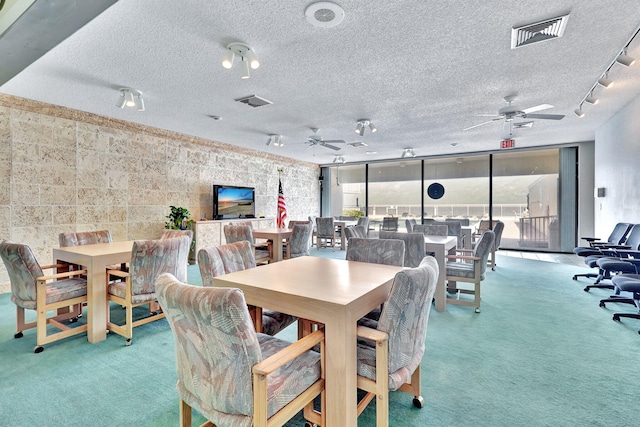 dining room with ceiling fan, carpet, floor to ceiling windows, and a textured ceiling