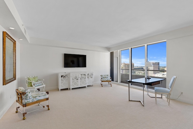 view of carpeted living room