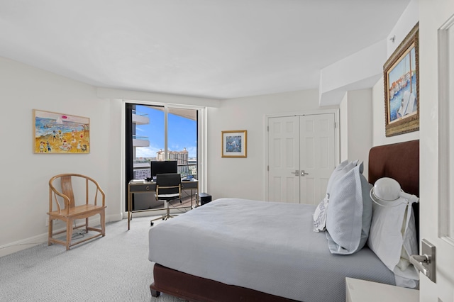 bedroom featuring carpet floors and a closet