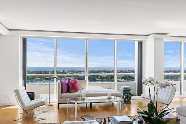 living room featuring a water view and light hardwood / wood-style floors