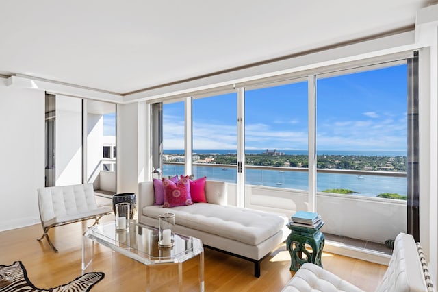 living room featuring light hardwood / wood-style floors and a water view