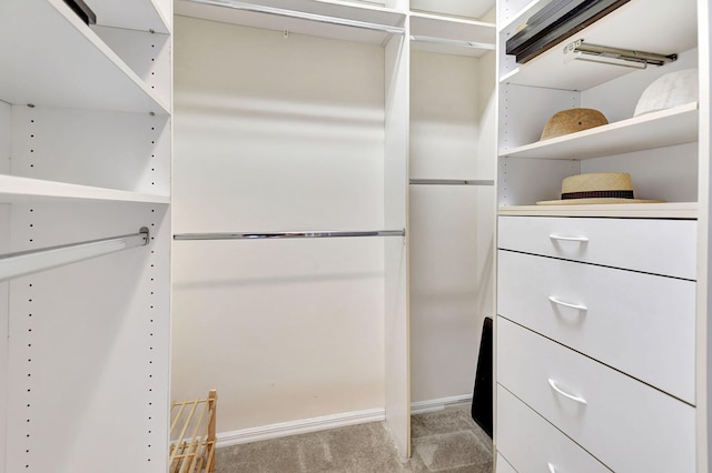 spacious closet featuring light carpet