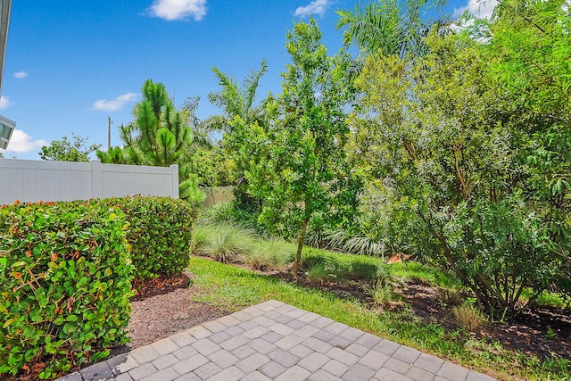 view of yard with a patio