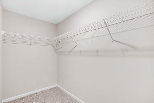392 SE Sea Hunt Way, Stuart, FL 34994 - walk in closet with carpet flooring