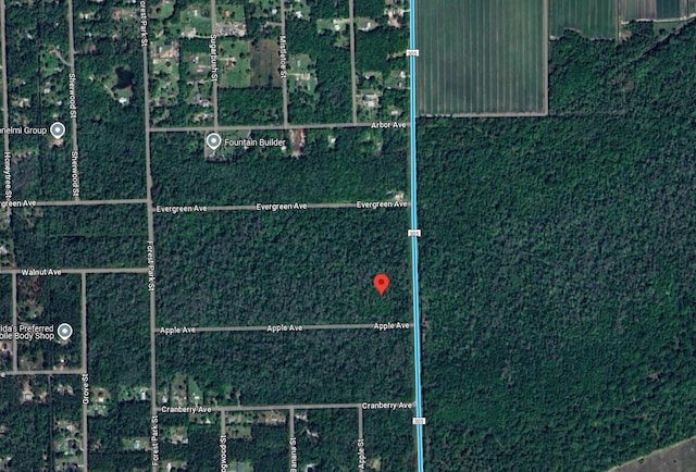 3540 Apple Ave, Bunnell, FL 32110