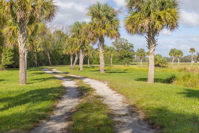 view of property's community featuring a yard