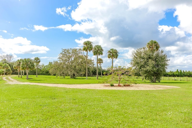 view of community with a lawn