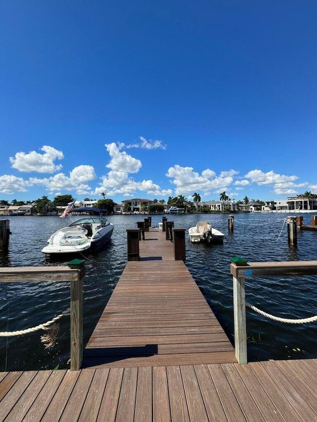 dock area with a water view