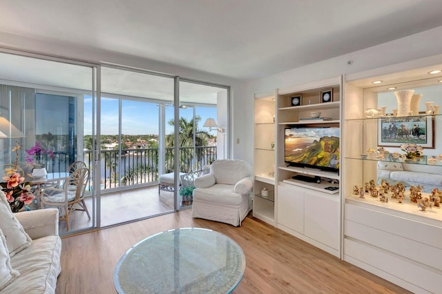 living room with light hardwood / wood-style floors and expansive windows