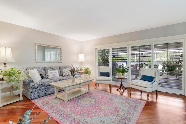 living room with dark wood-type flooring