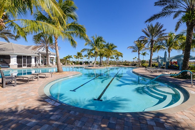 view of pool featuring a patio area