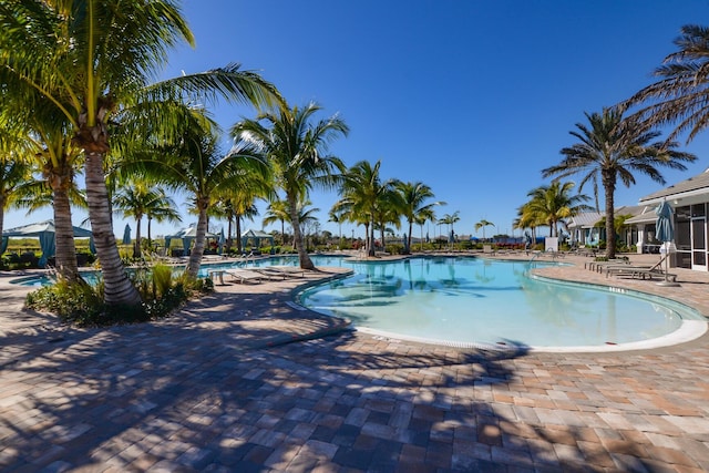 view of pool with a patio area