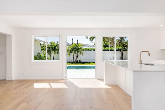 interior space featuring sink and light hardwood / wood-style flooring