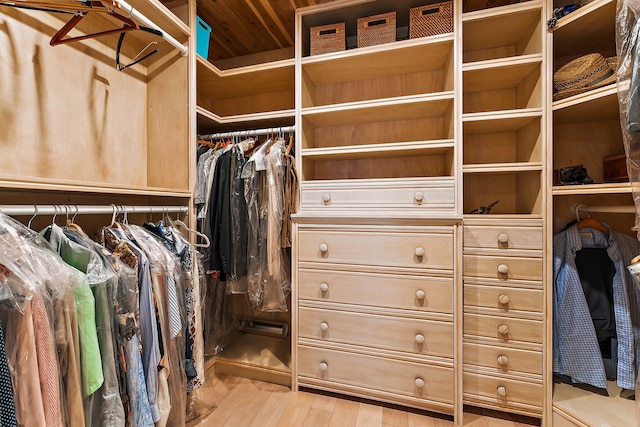 spacious closet with light hardwood / wood-style flooring