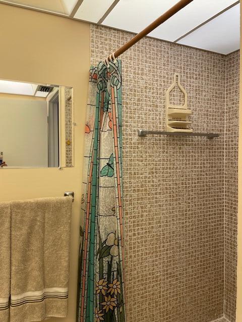 bathroom with walk in shower