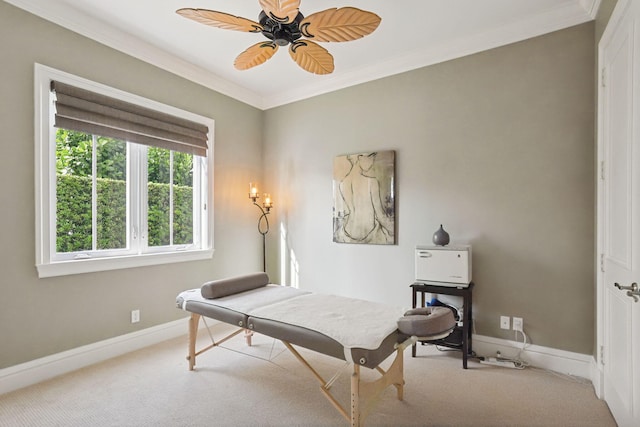 home office featuring ceiling fan, ornamental molding, and light carpet