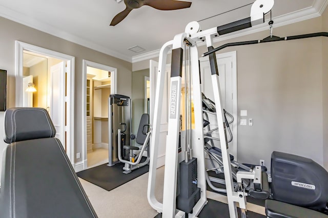 workout room featuring crown molding and carpet