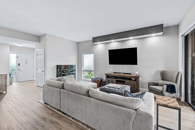 living room with a textured ceiling and light wood-type flooring