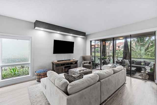 living room featuring wood-type flooring, a textured ceiling, and plenty of natural light