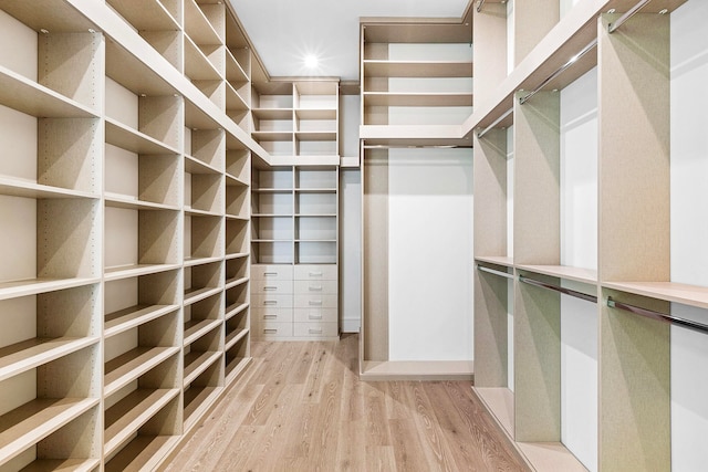 walk in closet featuring light hardwood / wood-style flooring