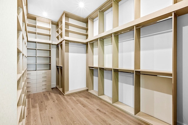 spacious closet featuring light wood-type flooring