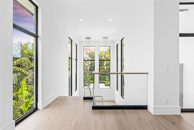 doorway featuring a wealth of natural light and light hardwood / wood-style flooring