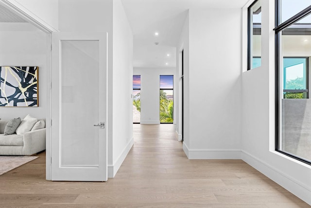 corridor featuring light wood-type flooring and plenty of natural light