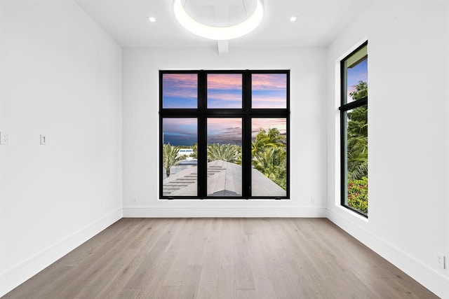 unfurnished room featuring light hardwood / wood-style flooring