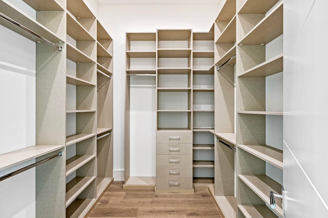 walk in closet with hardwood / wood-style flooring