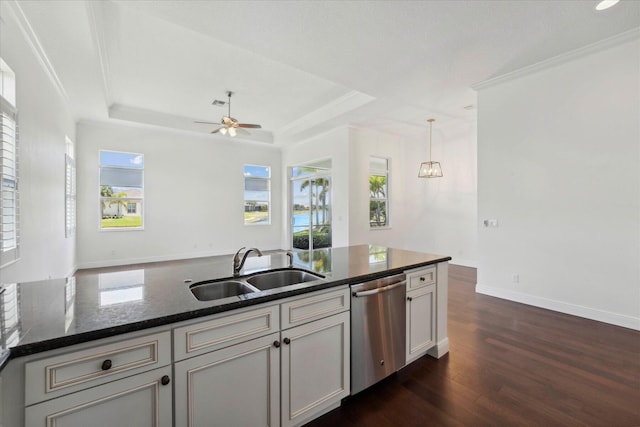 kitchen featuring sink, dark stone counters, dark hardwood / wood-style floors, a tray ceiling, and dishwasher