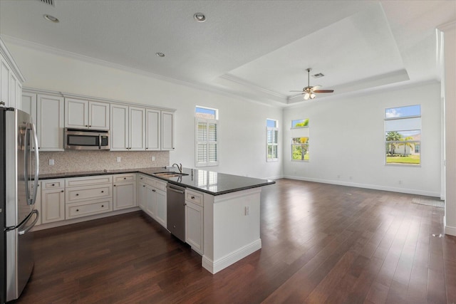 kitchen with dark wood-type flooring, kitchen peninsula, a raised ceiling, and stainless steel appliances