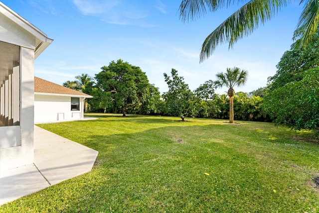 view of yard with a patio area