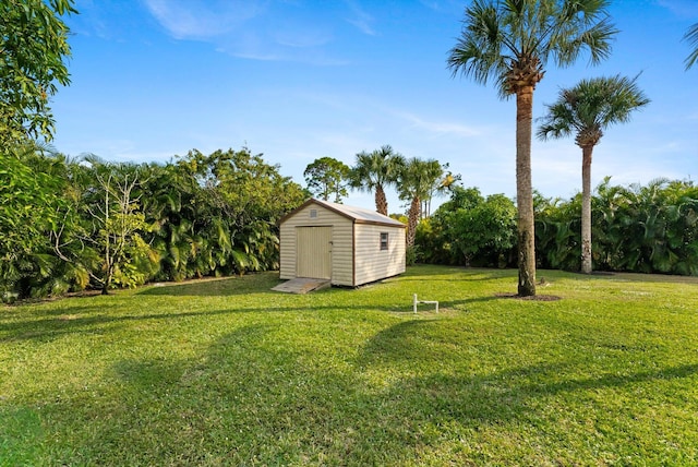 view of yard with a storage shed