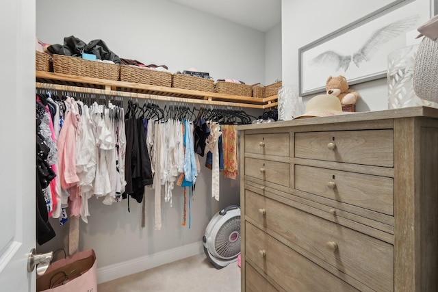 view of spacious closet