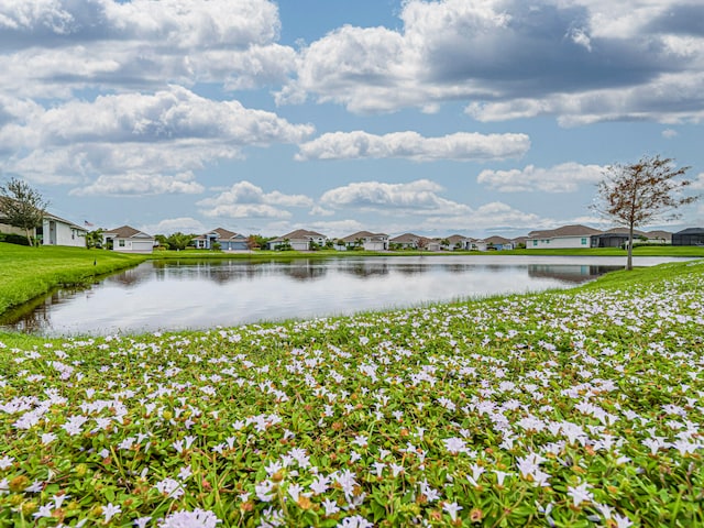 water view