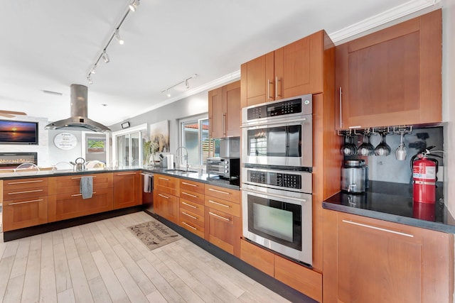 kitchen featuring island range hood, sink, ornamental molding, light hardwood / wood-style floors, and stainless steel appliances