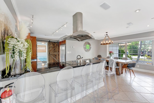 kitchen featuring a barn door, island range hood, track lighting, and a wealth of natural light