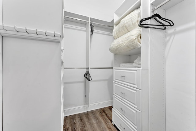 spacious closet with dark hardwood / wood-style floors