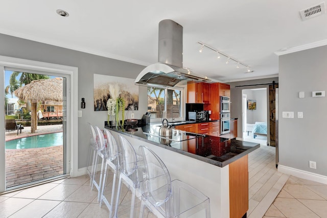 kitchen featuring plenty of natural light, island range hood, a barn door, and kitchen peninsula