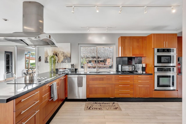 kitchen featuring island range hood, light wood-type flooring, sink, and appliances with stainless steel finishes