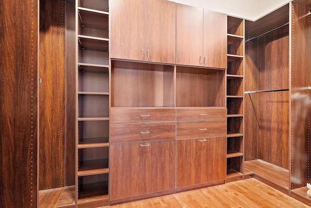 spacious closet featuring light wood-type flooring