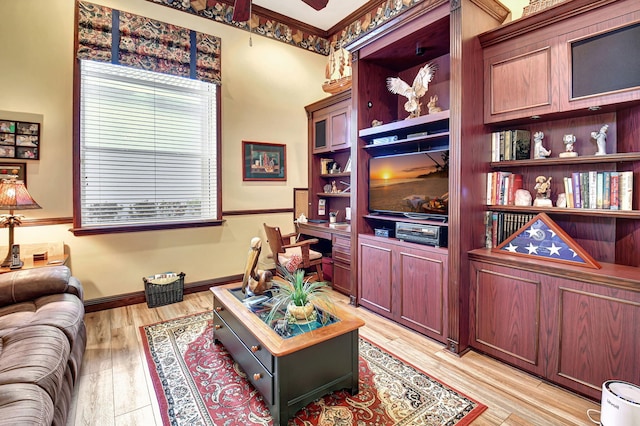 living room featuring light hardwood / wood-style flooring