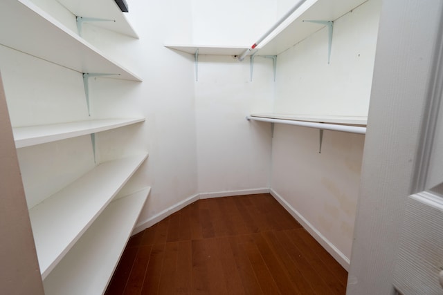 walk in closet featuring dark hardwood / wood-style floors