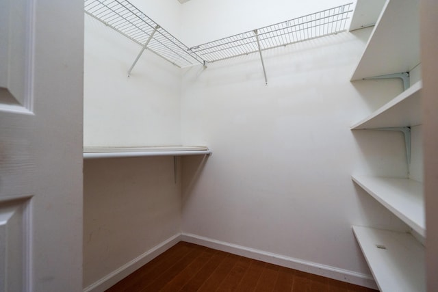 walk in closet with dark wood-type flooring