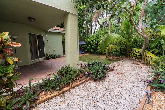 view of yard with a patio