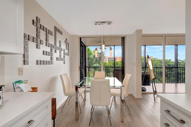 dining space with light hardwood / wood-style floors