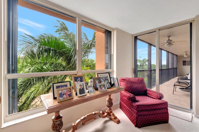 living area with carpet floors, ceiling fan, and a healthy amount of sunlight